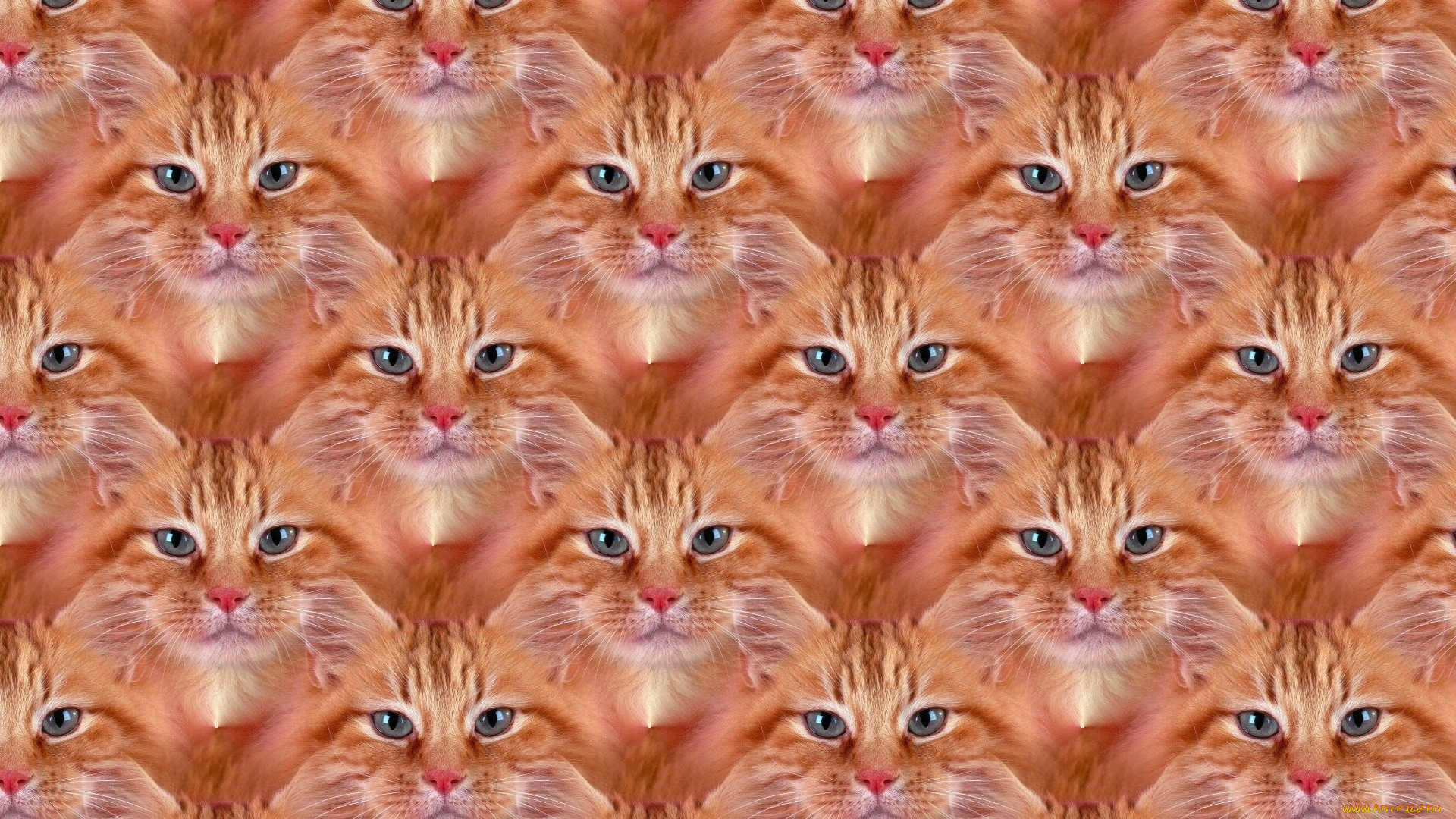 ,  , , , 